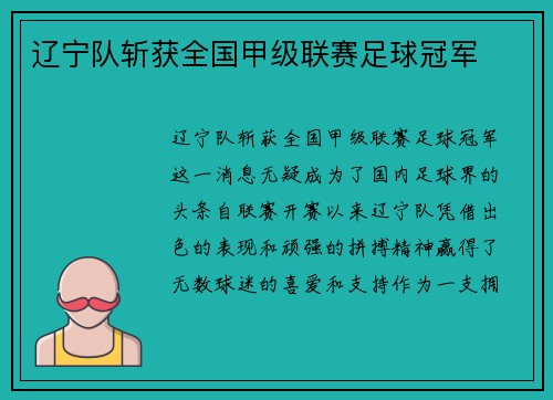 辽宁队斩获全国甲级联赛足球冠军