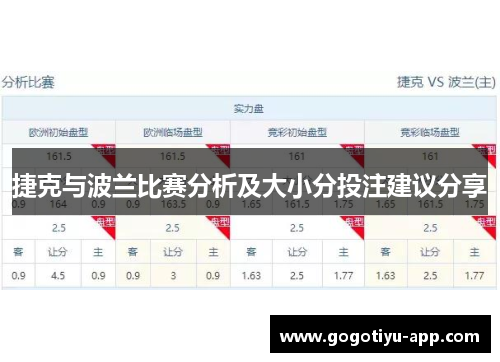捷克与波兰比赛分析及大小分投注建议分享